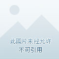 yy6690剧情介绍