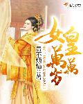 龙门飞甲在线观看剧情介绍