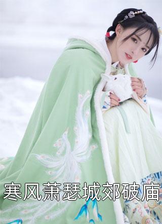 风暴突击者剧情介绍