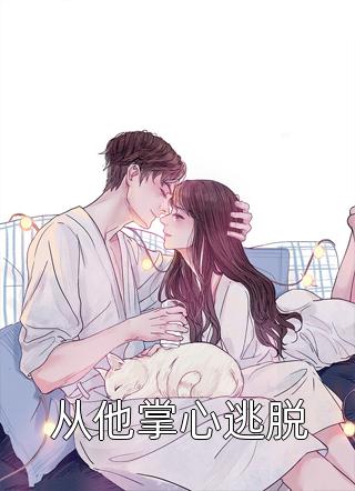 二美笨厨剧情介绍